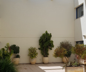 פטיו גדול צמוד למשרד להשכרה בכפ