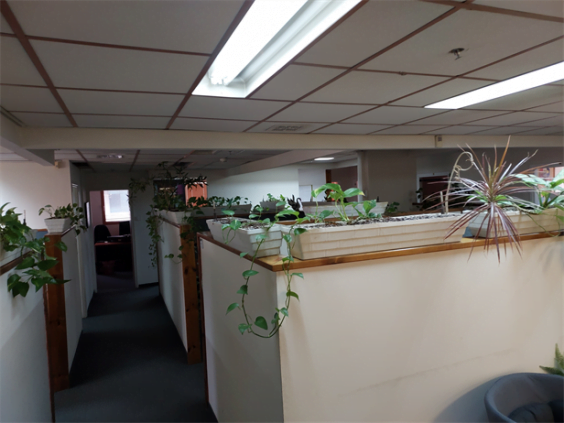 קומת משרדים עצמאית להשכרה בגבעת שמואל