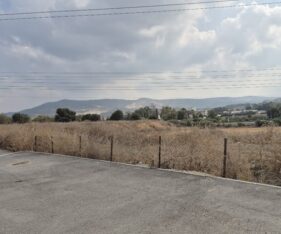מגרשים לאחסנה פתוחה במפרץ חיפה