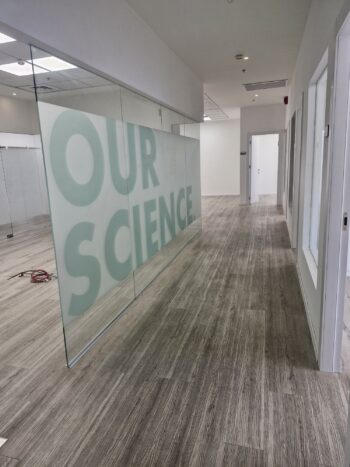 משרד יפה ומסודר בחלוקה ל-10 חדרים