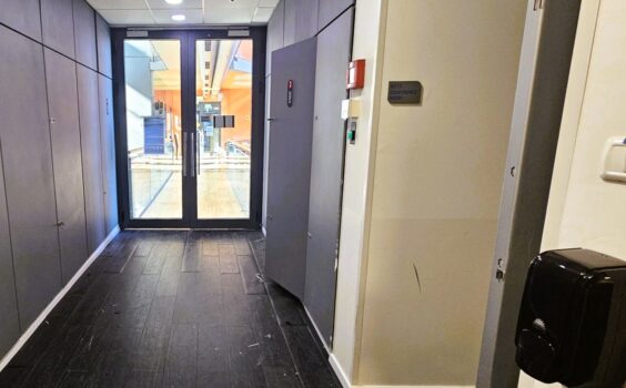 שפע של אור טבעי בזכות חלונות מסך גדולים ונוף פתוח