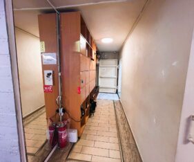 מרתף 350 מר להשכרה