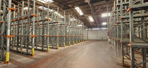 מבוא כרמל, קיבוץ דליה