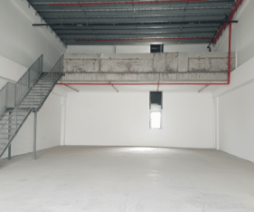 התמונות להמחשה בלבד