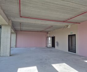 חלונות מסך שמשקיפים לשדות שבין רחובות ונס ציונה