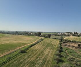 בבניין חדש לחלוטין בפארק הורוביץ ברחובות