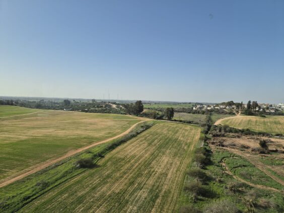 בבניין חדש לחלוטין בפארק הורוביץ ברחובות