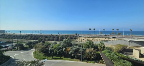 להשכרה קומה עצמאית