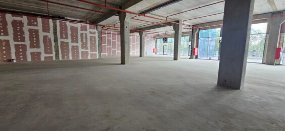 אידיאלי לתעשיית הרכב, ליבואנים ולתצוגת רכבים