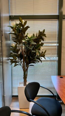 השטח נמצא ברחוב פנימי ושקט בפארק המדע