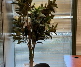 השטח נמצא ברחוב פנימי ושקט בפארק המדע