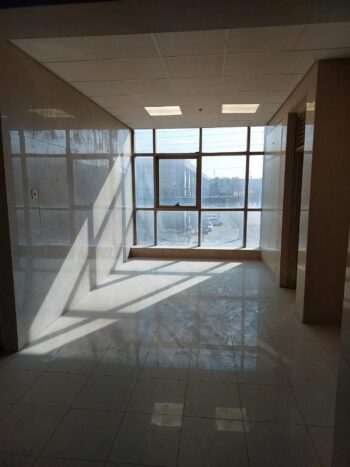 פירים רבים וגדולים לתעשיית הביוטק