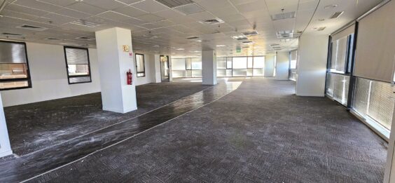 שפע של אור טבעי, נגישות נוחה וסטנדרט תחזוקה גבוה