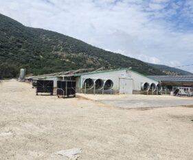 יכול לשמש לאחסנה, בית גידול לחלקאות מתקדמת, אריזה וכו