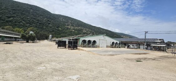יכול לשמש לאחסנה, בית גידול לחלקאות מתקדמת, אריזה וכו