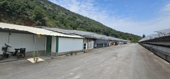 יכול לשמש לאחסנה, בית גידול לחלקאות מתקדמת, אריזה וכו